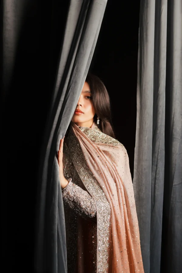THE OMBRE BLUSH - Image 2