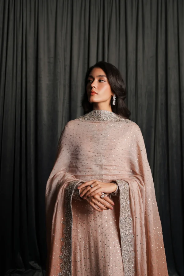 THE OMBRE BLUSH - Image 3