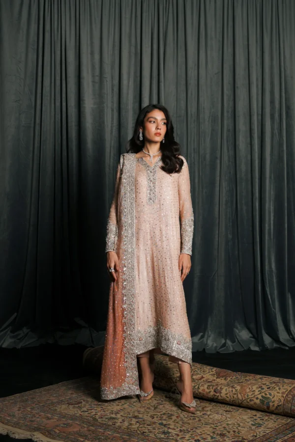 THE OMBRE BLUSH - Image 5