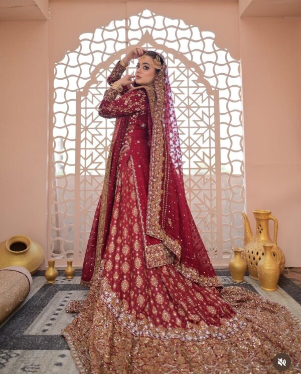 Farshi Lehenga - Image 5