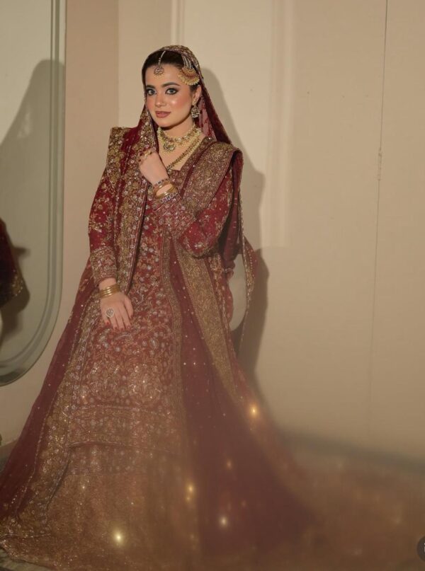 Farshi Lehenga - Image 7