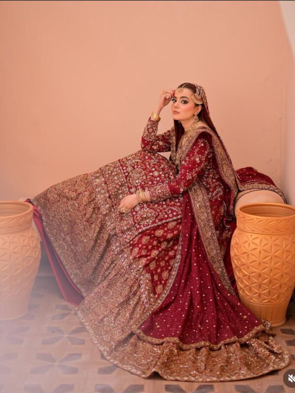 Farshi Lehenga - Image 6