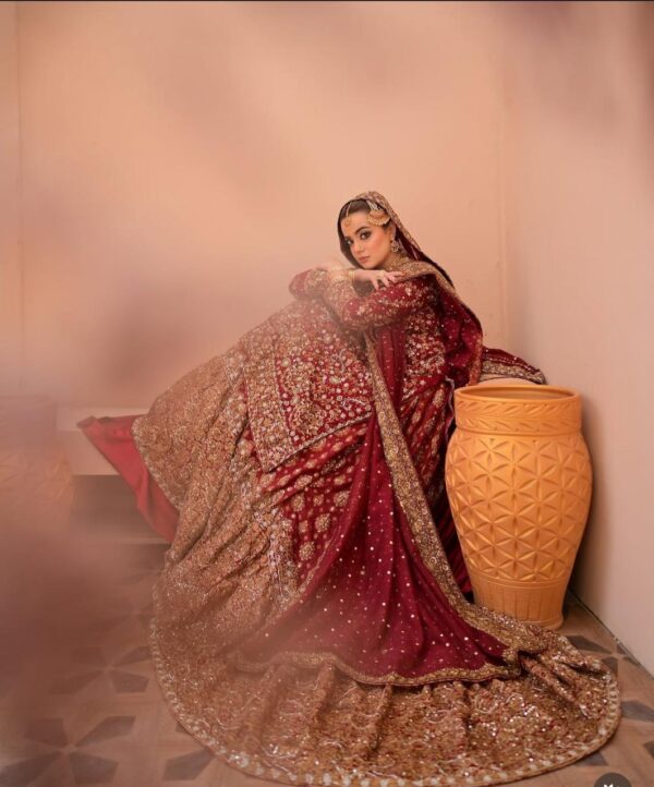 Farshi Lehenga - Image 3