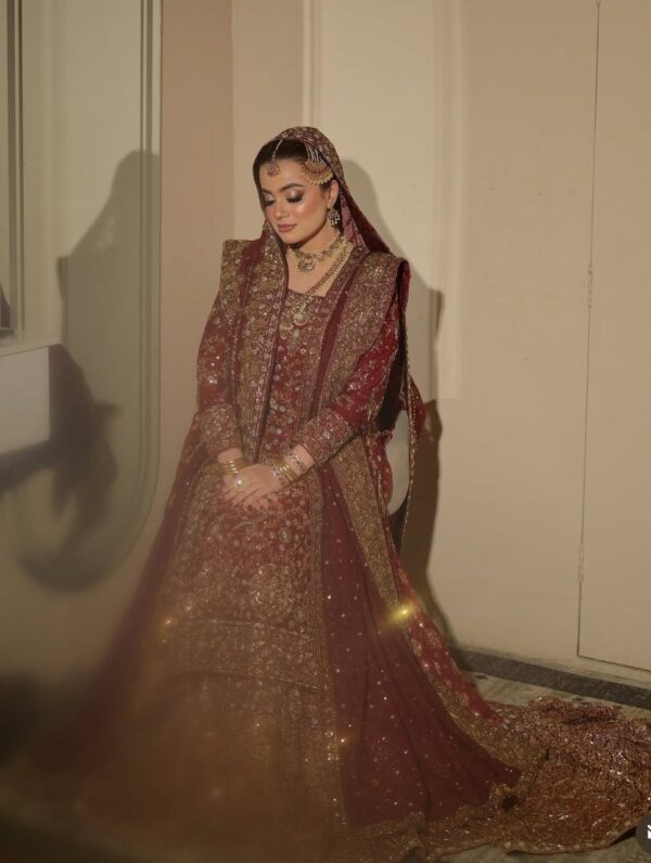 Farshi Lehenga - Image 2