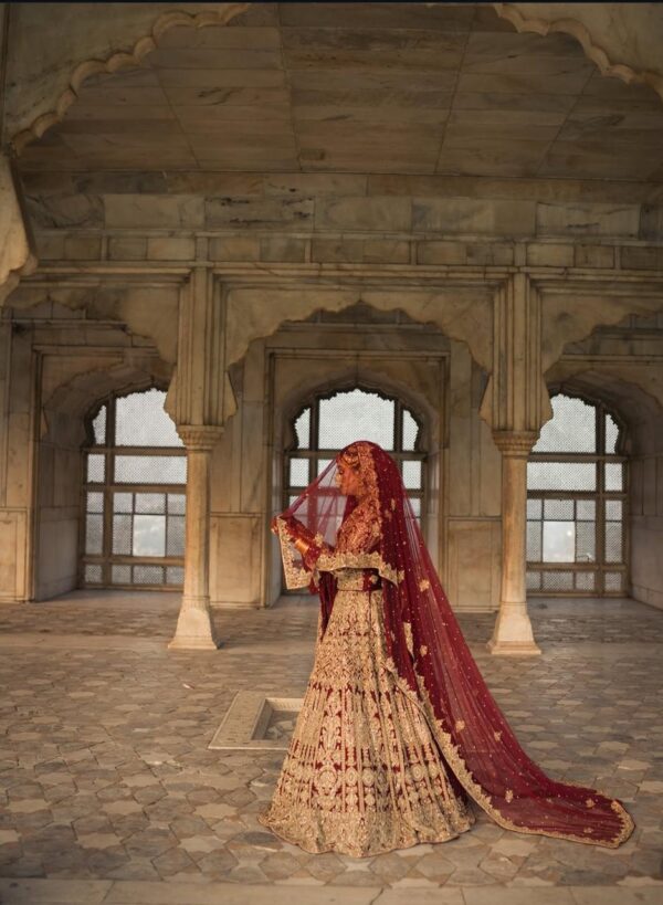 Lengha Choli - Image 10