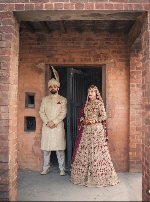 Lengha Choli - Image 9