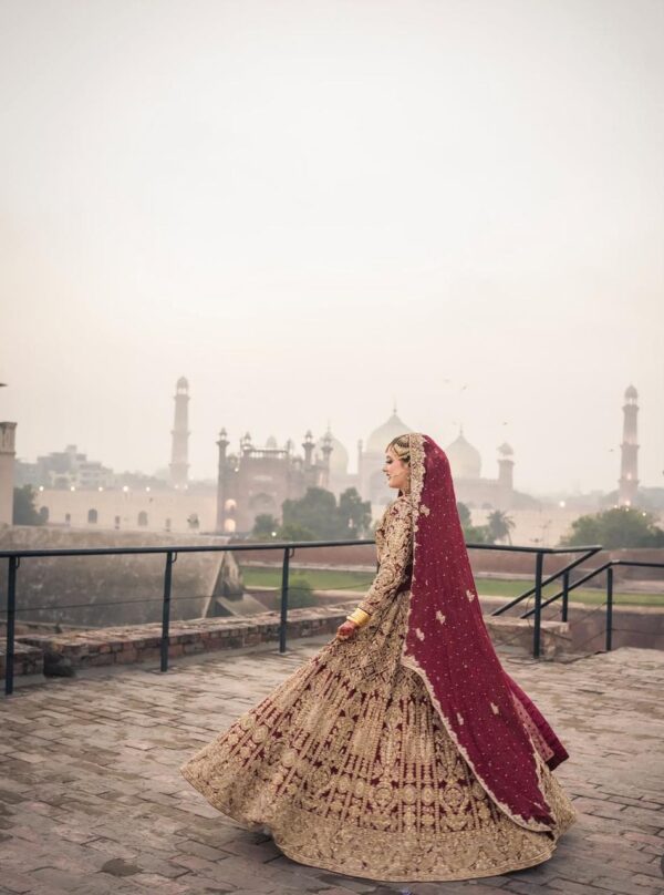 Lengha Choli - Image 5